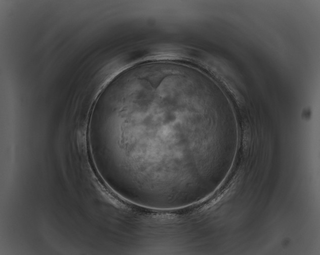 X0000095681417200801151116