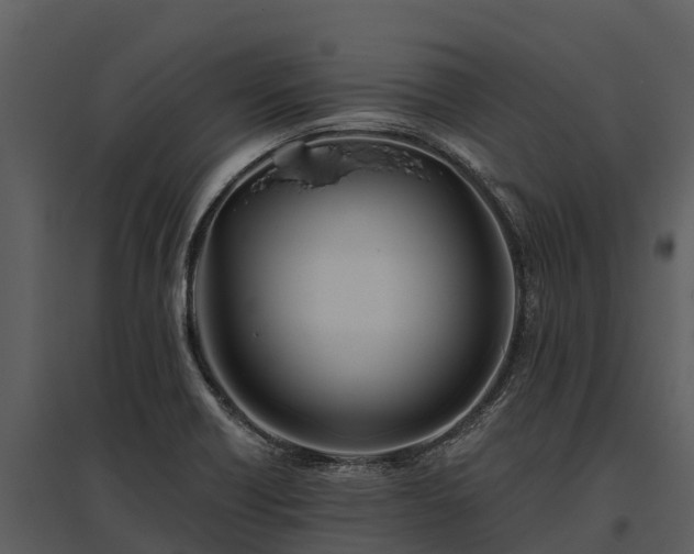 X0000095681418200801151116
