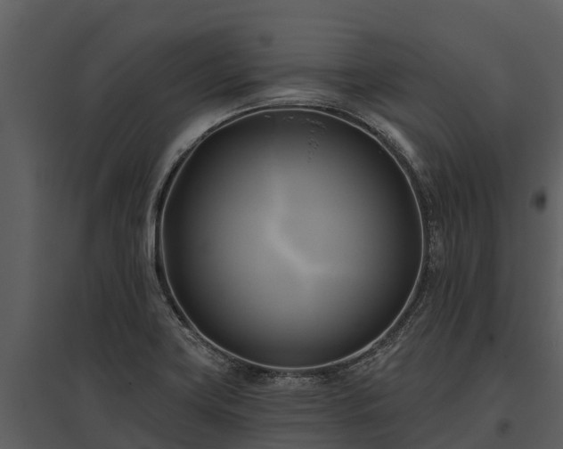 X0000095681419200801151116