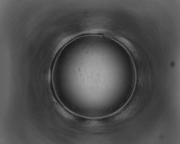 X0000095681420200801151116