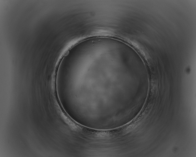 X0000095681421200801151116
