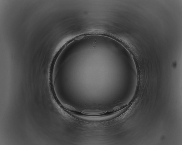 X0000095681422200801151116