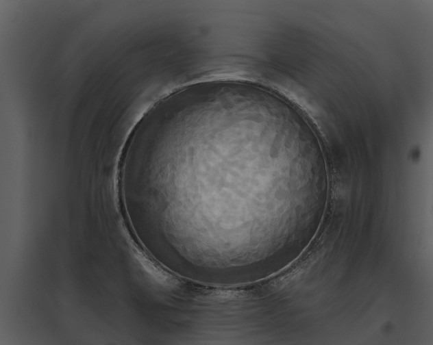 X0000095681423200801151116