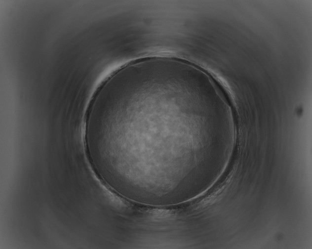 X0000095681424200801151116