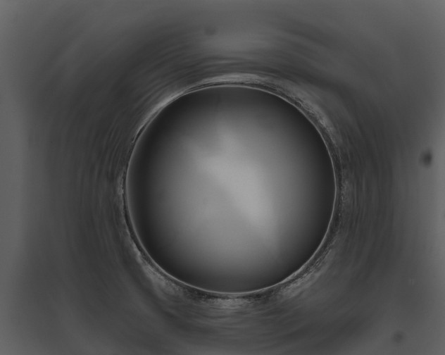 X0000095681425200801151116