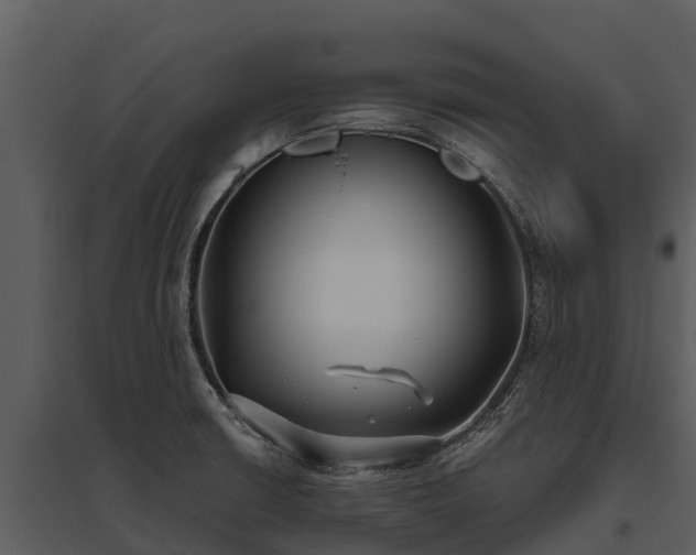 X0000095681426200801151116