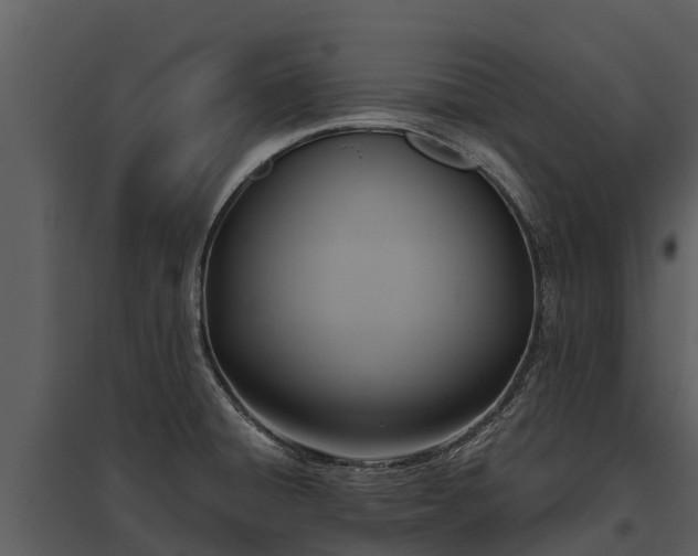 X0000095681428200801151116