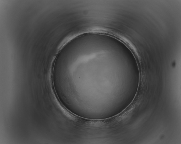 X0000095681429200801151116