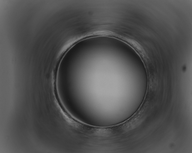 X0000095681430200801151116