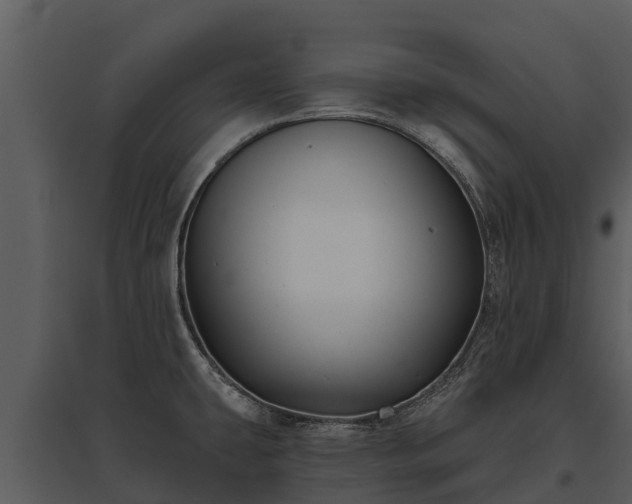 X0000095681431200801151116