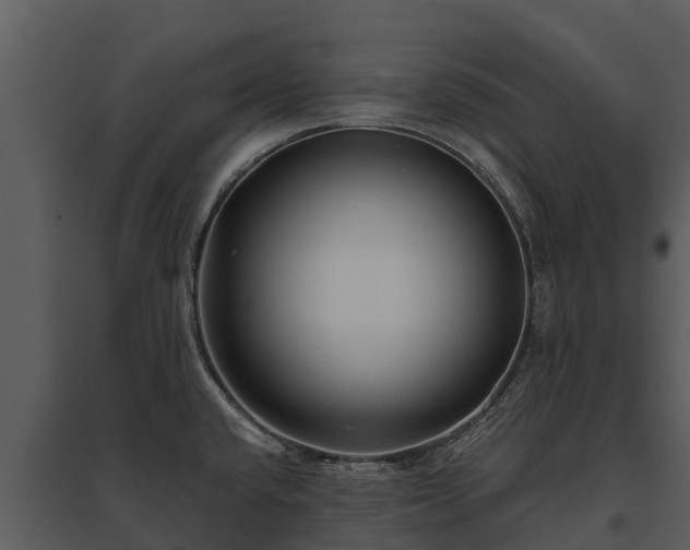 X0000095681432200801151116