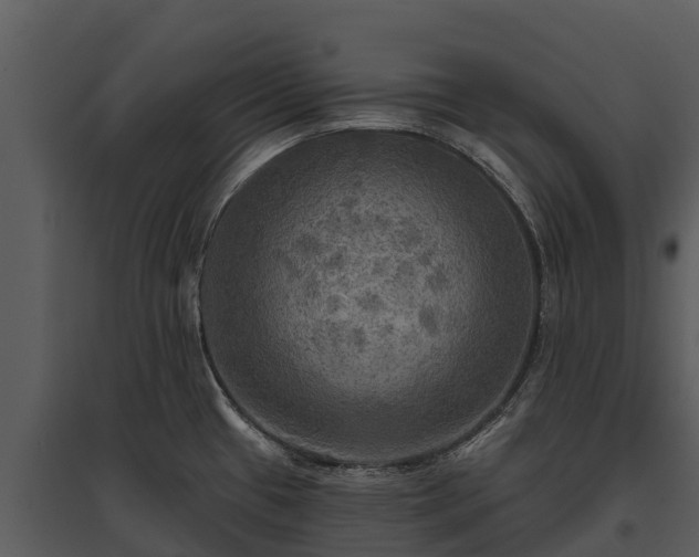 X0000095681433200801151116