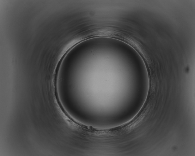 X0000095681434200801151116