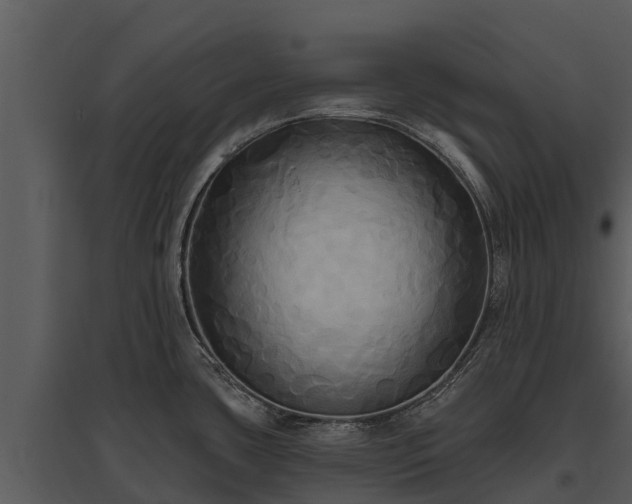 X0000095681435200801151116