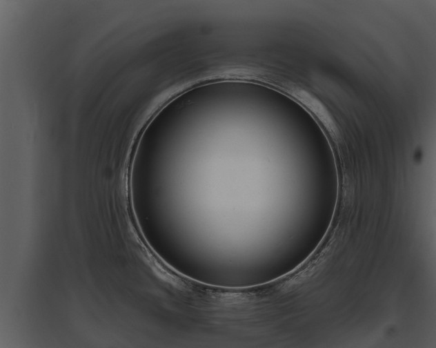X0000095681436200801151116