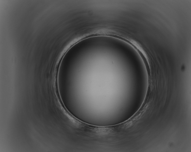 X0000095681437200801151116