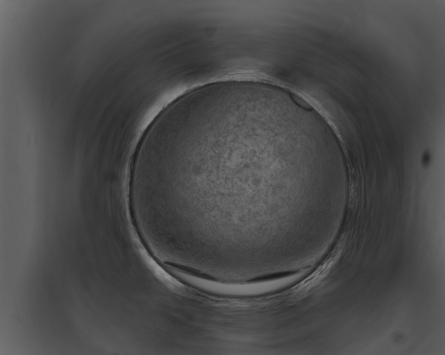 X0000095681438200801151116
