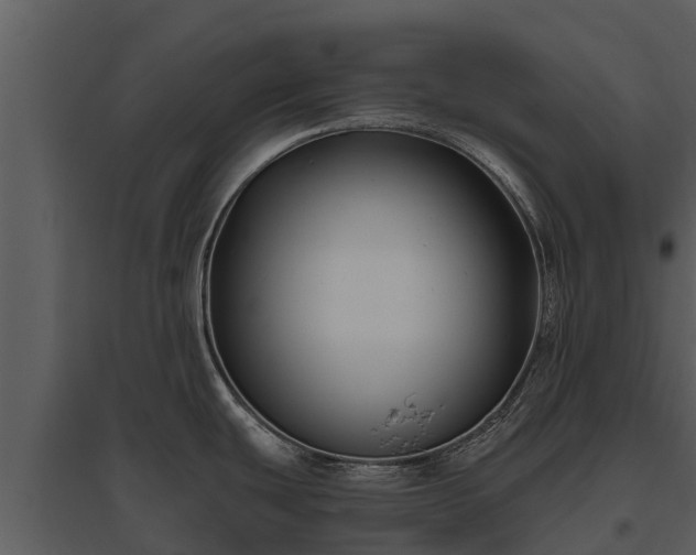 X0000095681439200801151116