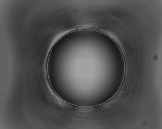 X0000095681440200801151116
