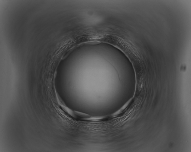 X0000095681441200801151115