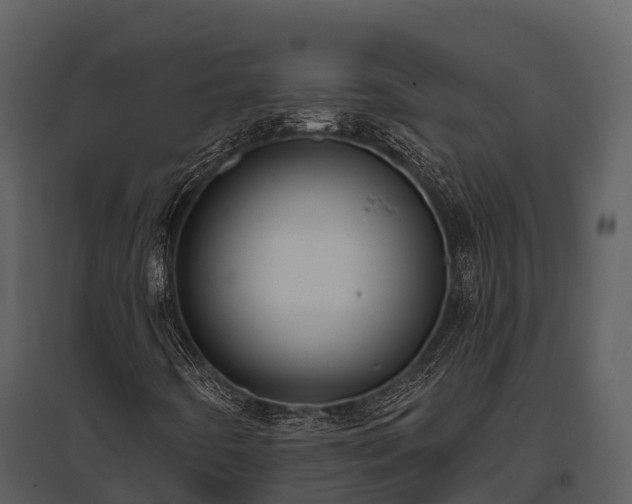 X0000095681442200801151115