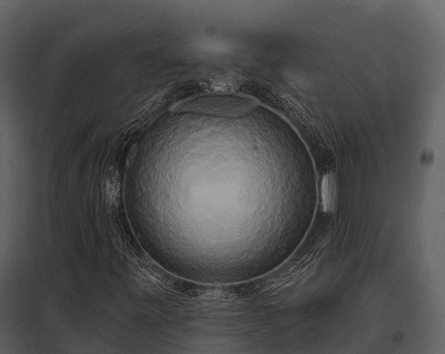 X0000095681443200801151115
