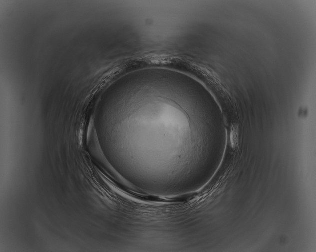 X0000095681444200801151115