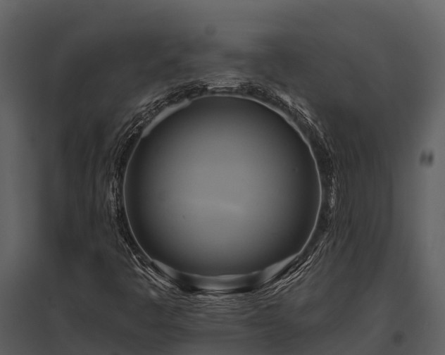X0000095681445200801151115