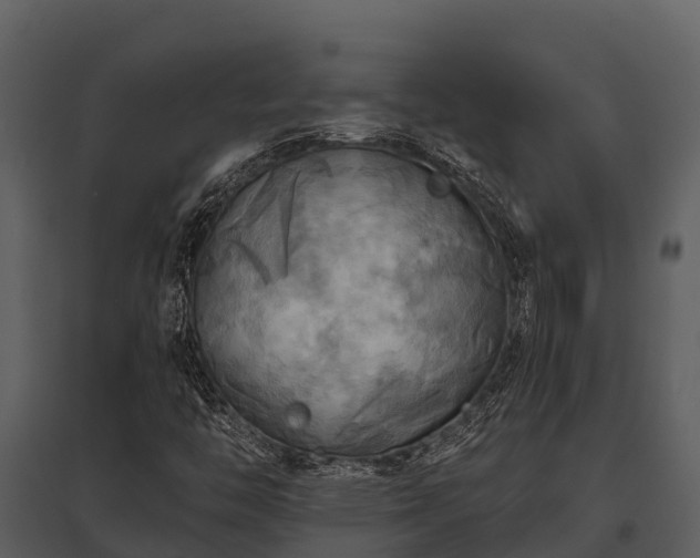 X0000095681446200801151115