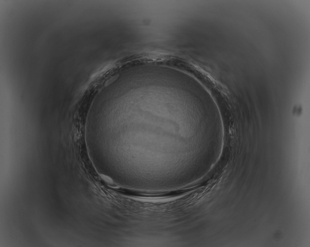 X0000095681447200801151115