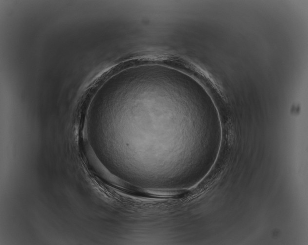 X0000095681448200801151115