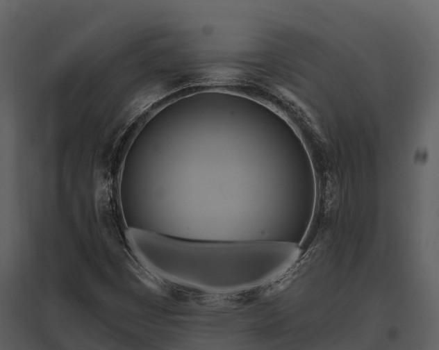 X0000095681449200801151115