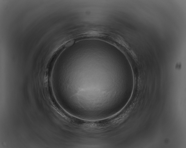 X0000095681450200801151115