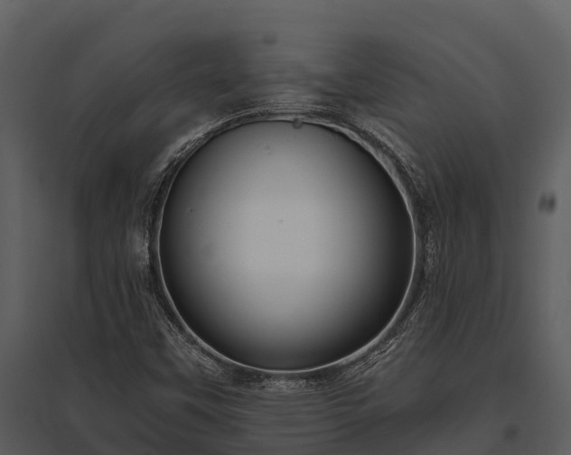 X0000095681451200801151115