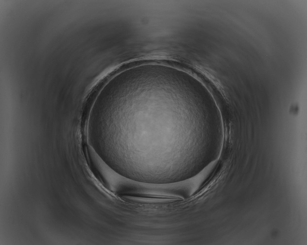 X0000095681452200801151115