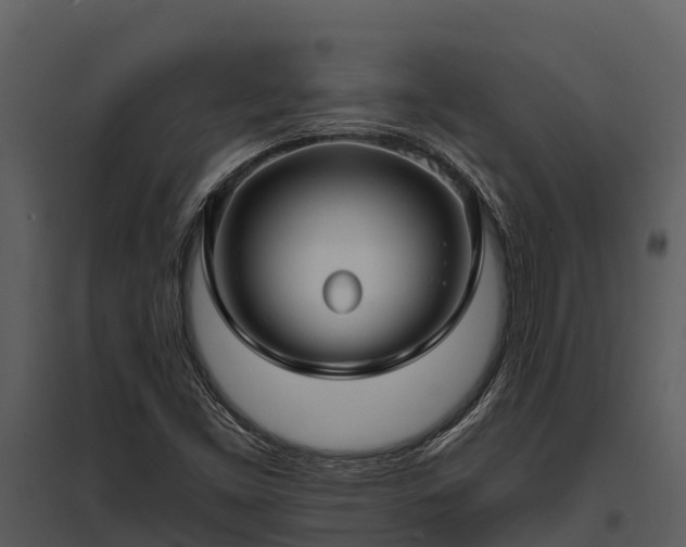 X0000095681453200801151115