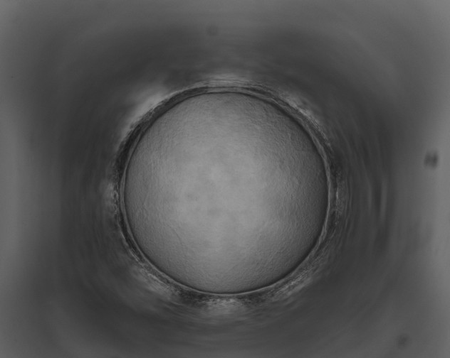 X0000095681454200801151115