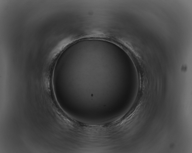 X0000095681455200801151115