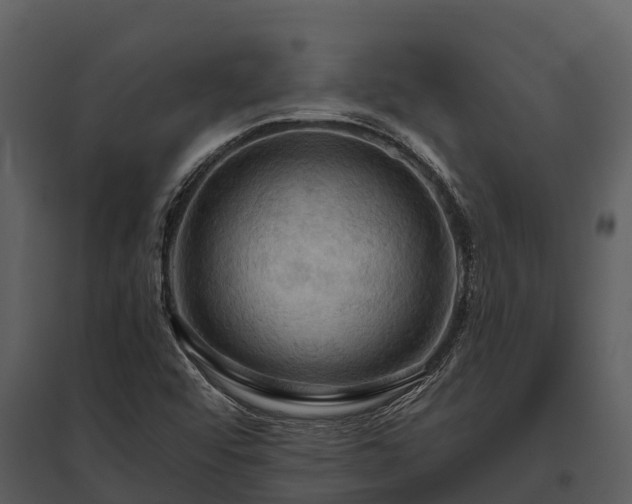 X0000095681456200801151115