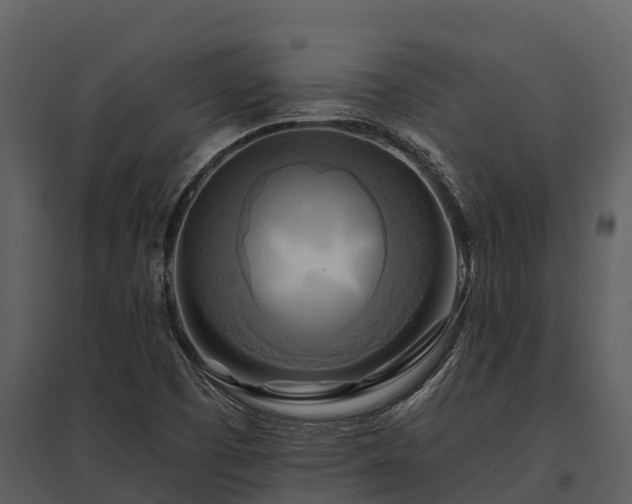 X0000095681457200801151115