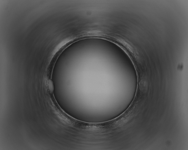 X0000095681458200801151115