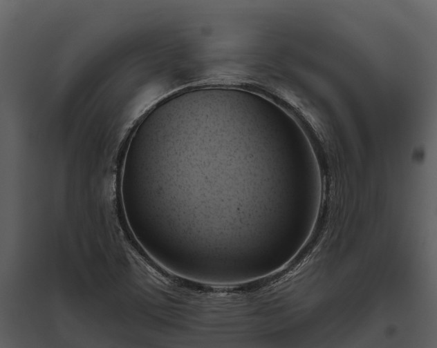 X0000095681459200801151115