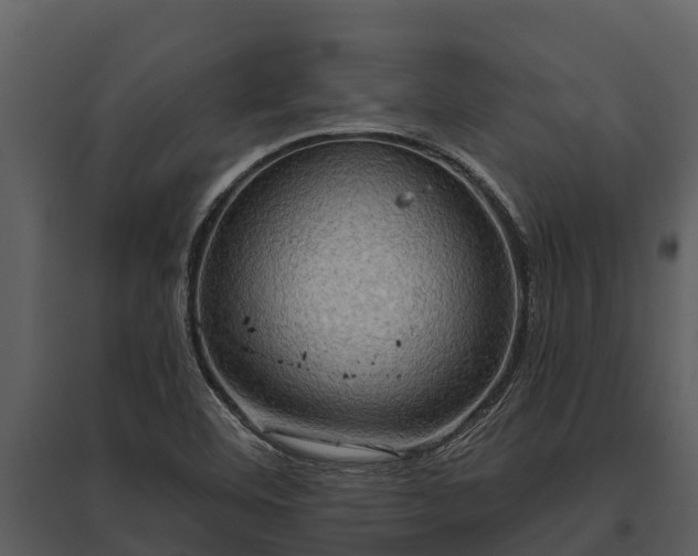 X0000095681460200801151115