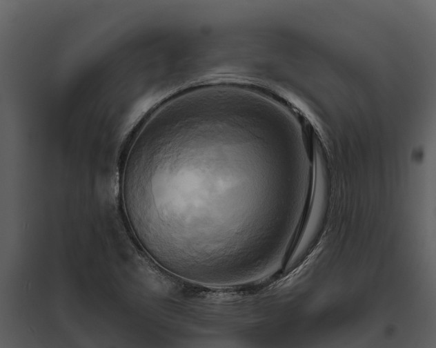 X0000095681461200801151115