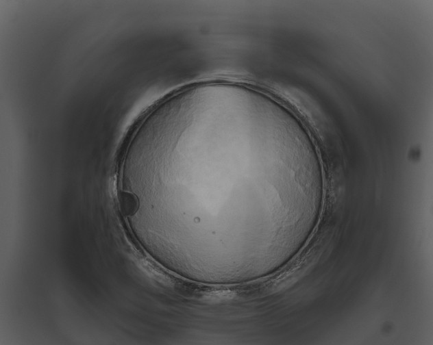 X0000095681462200801151115