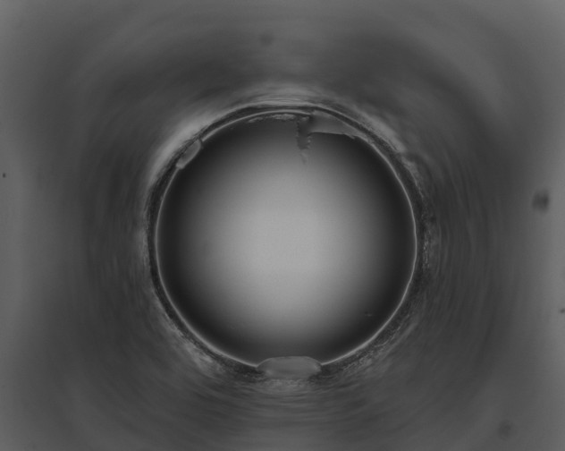X0000095681464200801151115