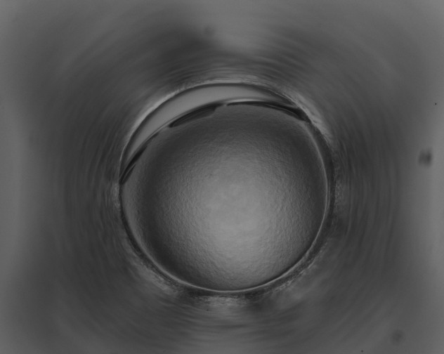 X0000095681465200801151115