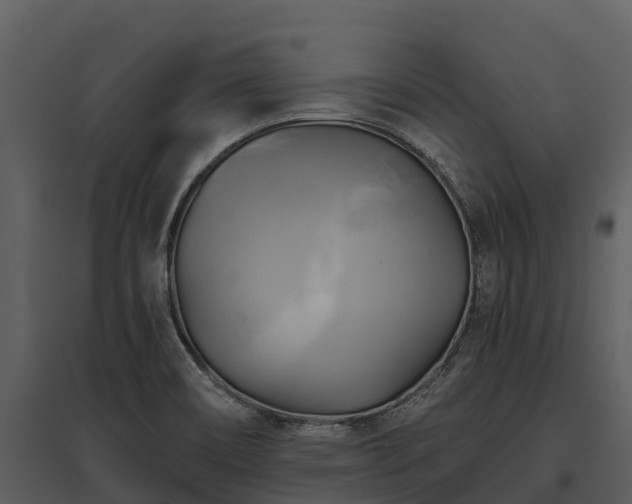 X0000095681466200801151115
