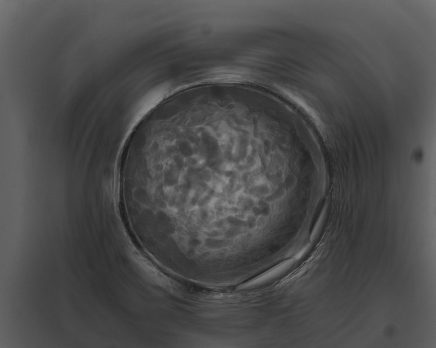 X0000095681467200801151115