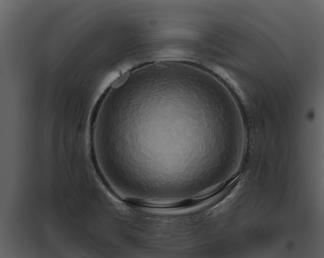 X0000095681469200801151115
